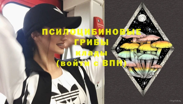 a pvp Алексеевка
