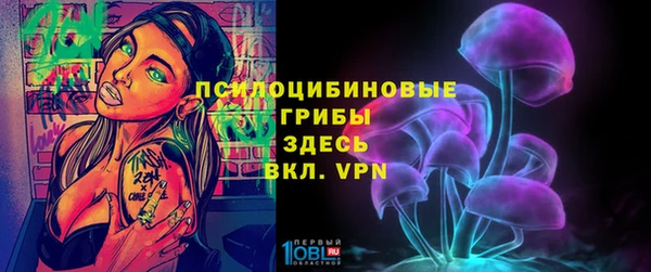 ECSTASY Алзамай