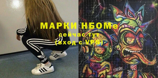 ECSTASY Алзамай