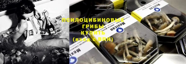 герыч Алексин