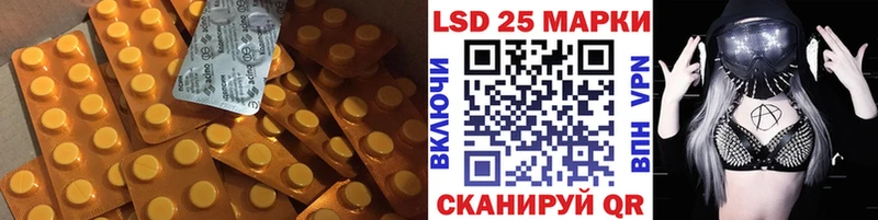 Лсд 25 экстази ecstasy наркошоп Новая Ладога