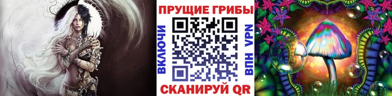 Псилоцибиновые грибы ЛСД  Новая Ладога 
